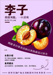 李子新品海报