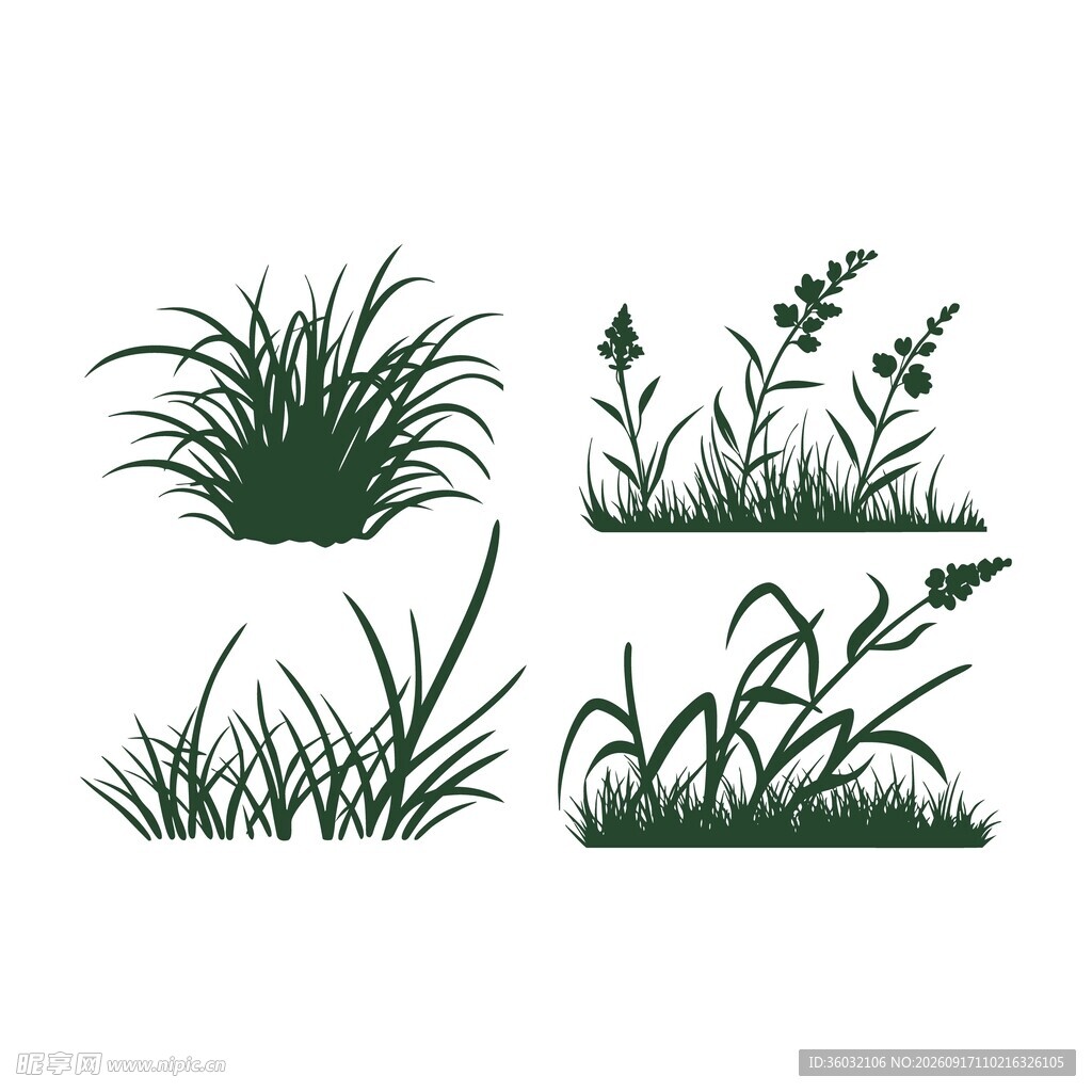 野草剪影素材