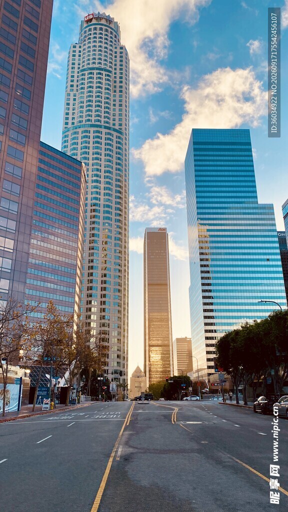 城市街道旁的摩天大楼景观
