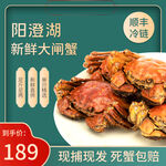 阳澄湖 大闸蟹