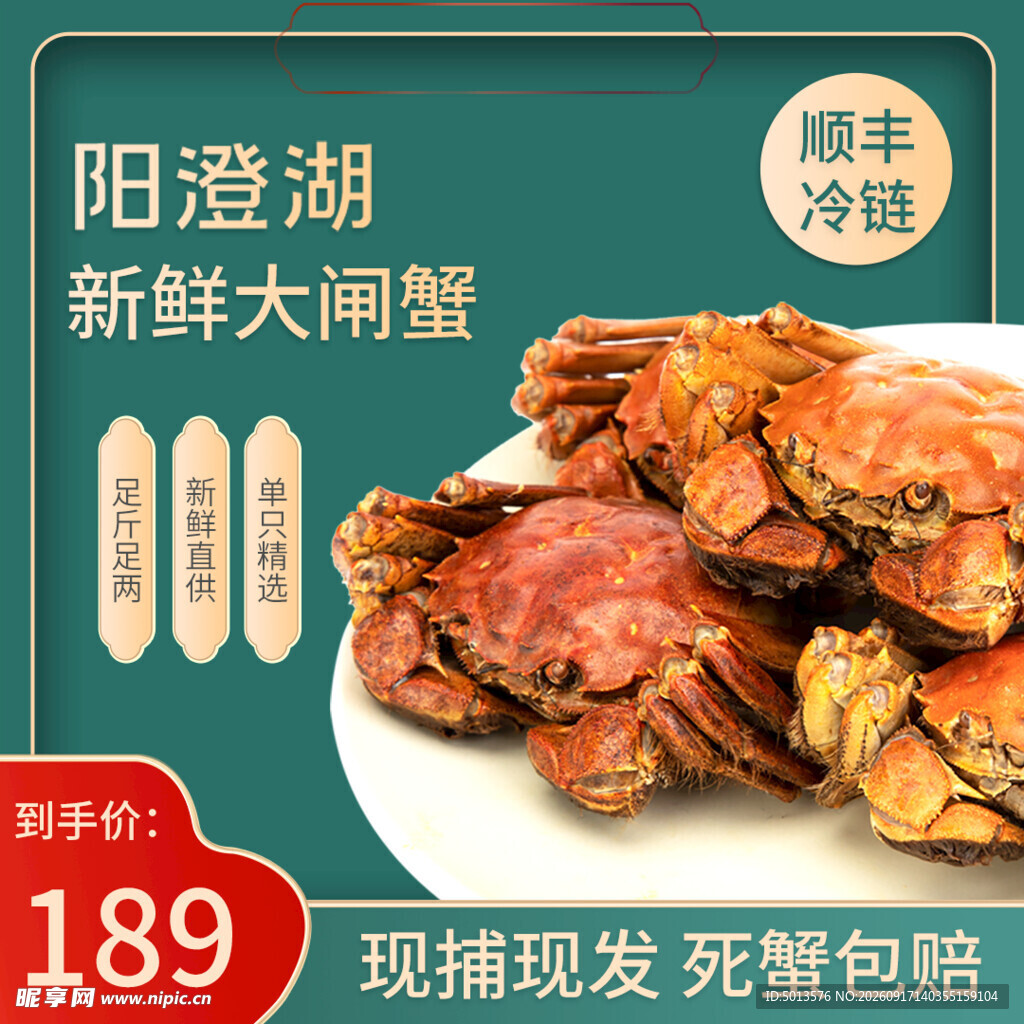 阳澄湖 大闸蟹