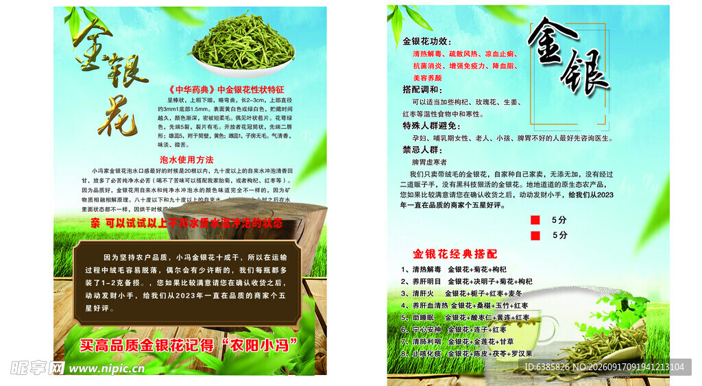 金银花宣传页设计