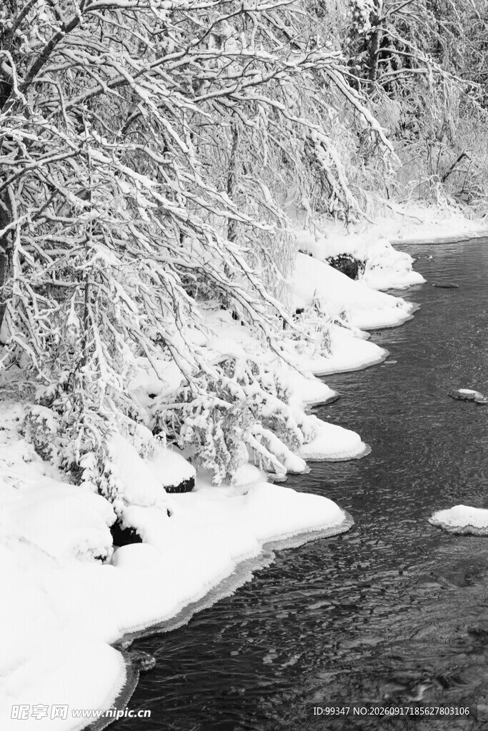 冬日河岸雪景