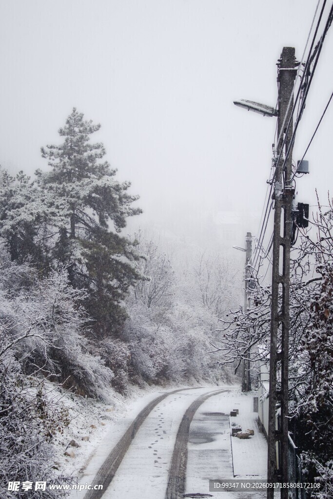 雪覆山林间的蜿蜒道路