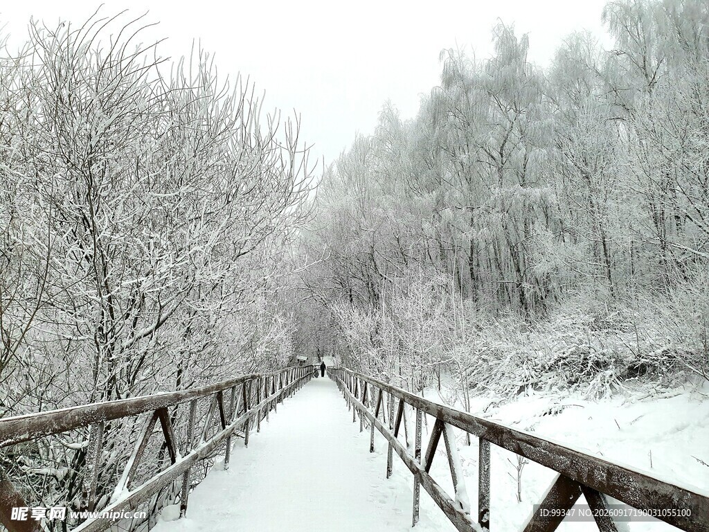 雪覆木桥冬日静谧景致