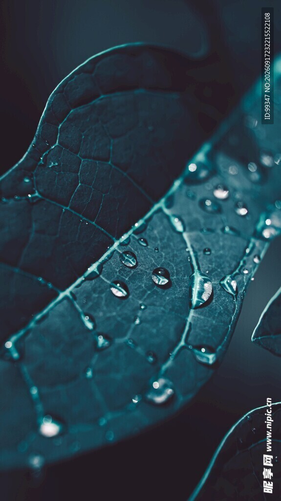 水珠点缀的吉他琴身