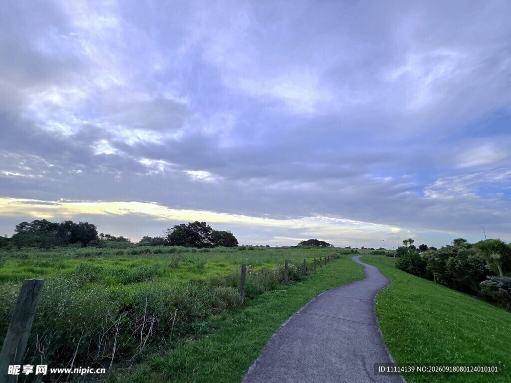 乡间小路旁的开阔田园风光