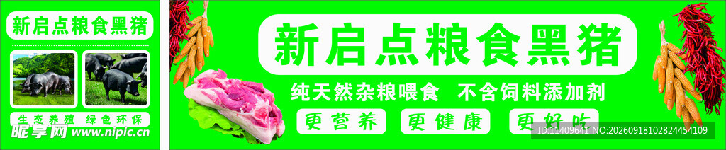生态猪