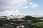 古城风景远眺