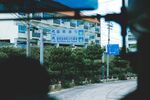 窗外街景与绿植
