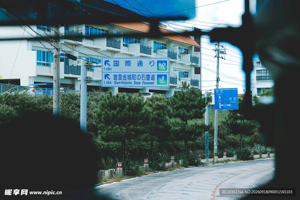窗外街景与绿植
