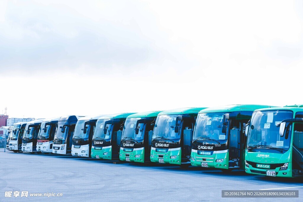 一排绿色新能源公交车
