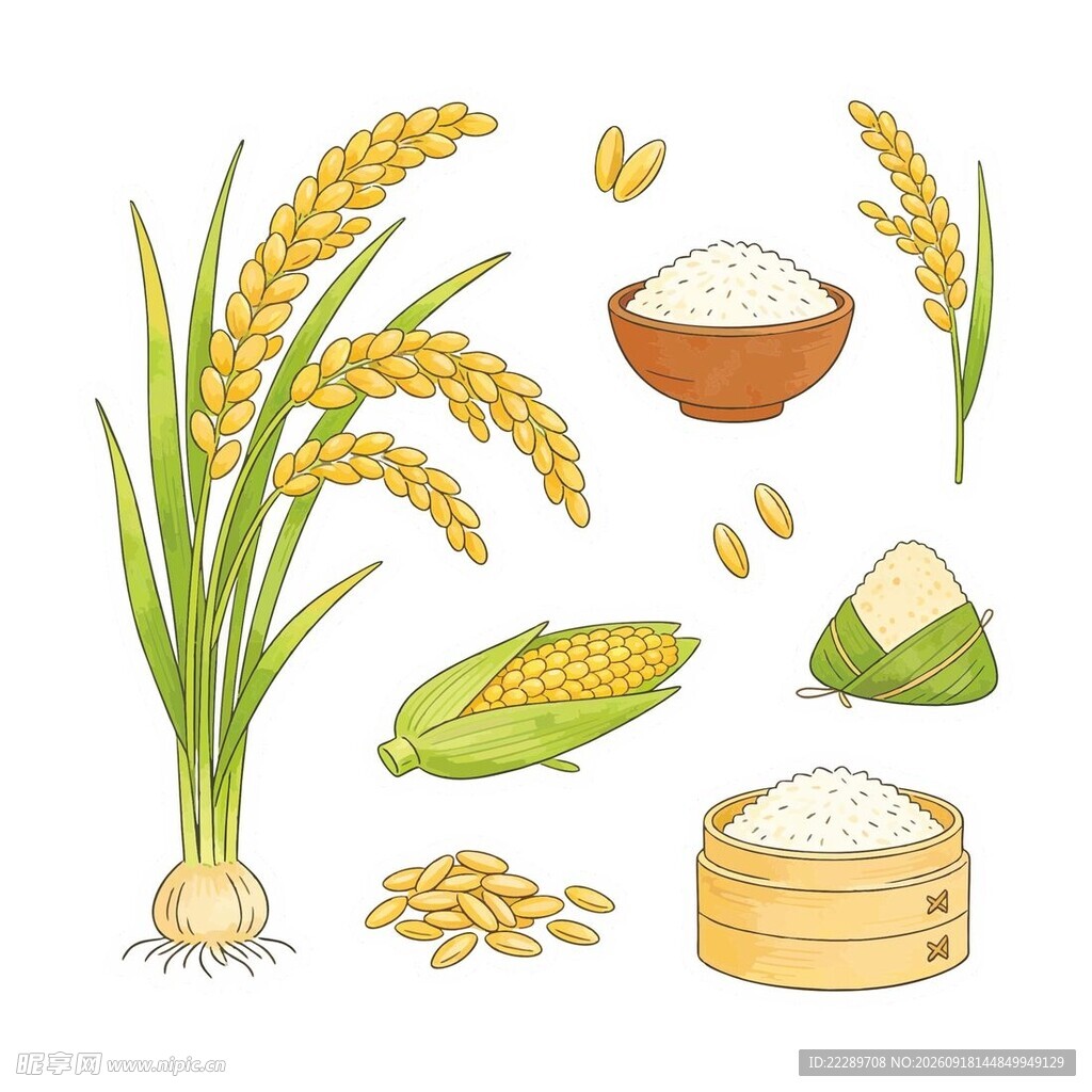 稻麦等农产品插画展示
