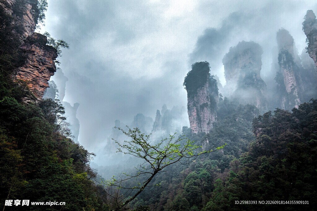 云海奇峰