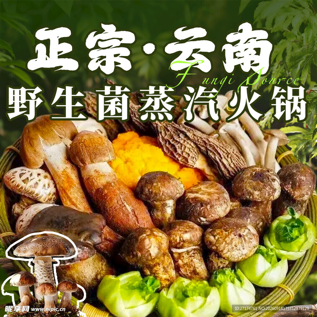 野山菌蒸汽火锅入口图