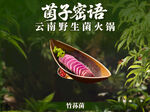 云南野山菌火锅