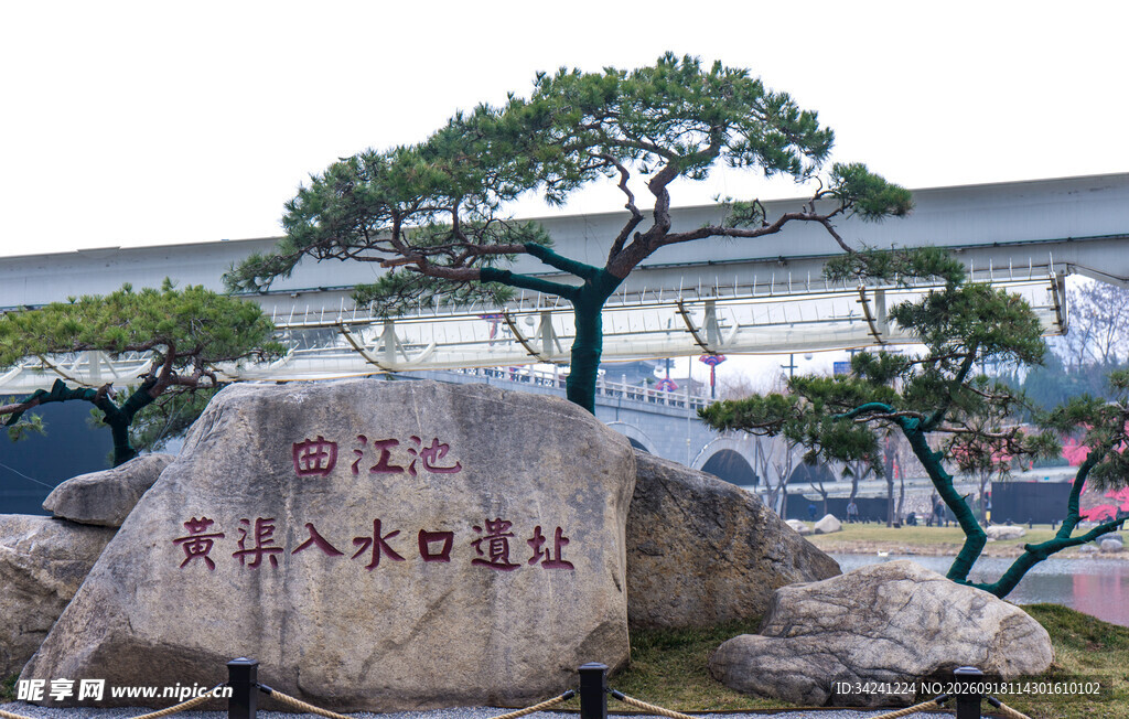 中式园林景观石与松树