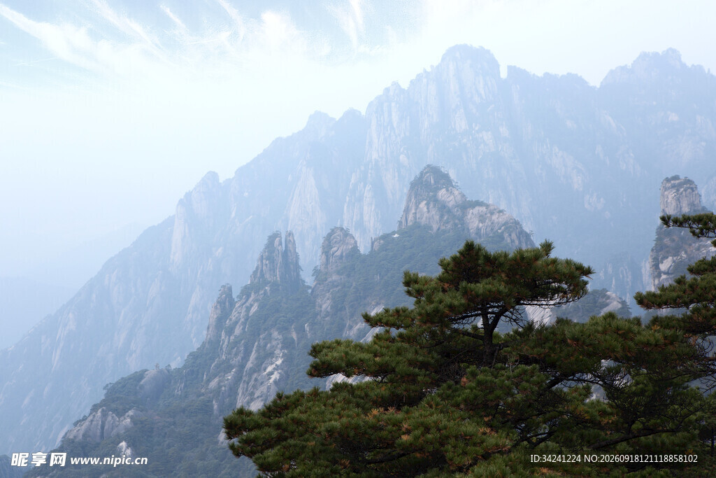 巍峨山峰旁的挺拔青松