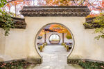中式园林月洞门秋景