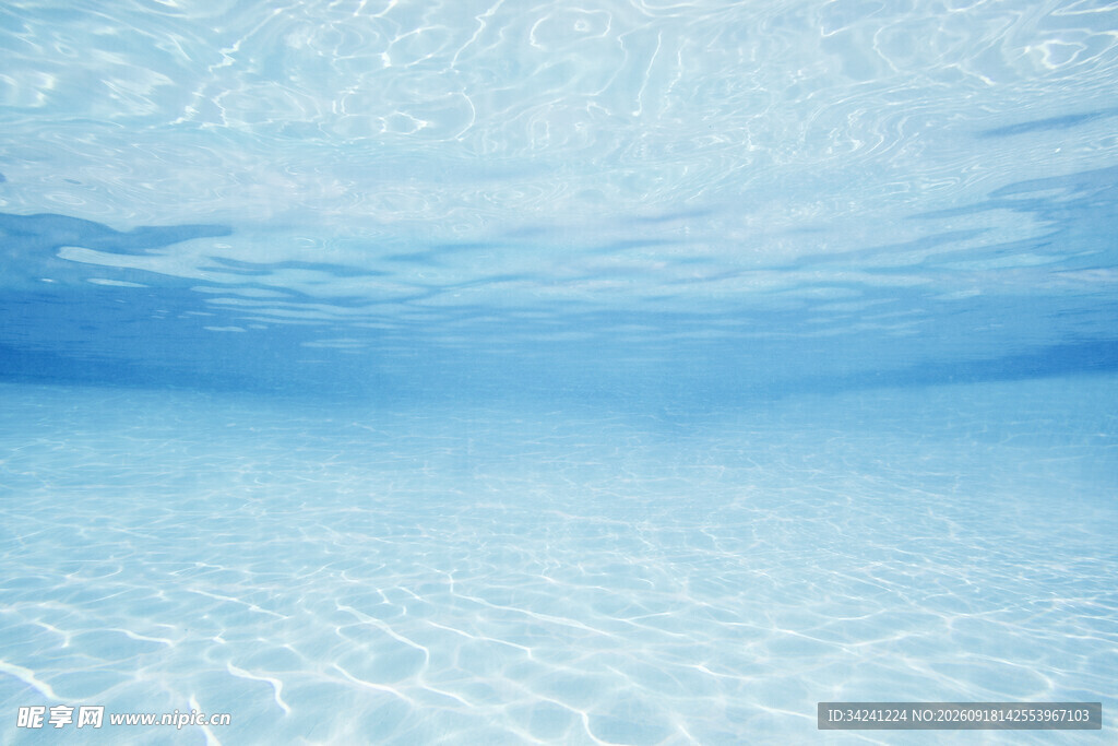 清澈海底世界的梦幻景象