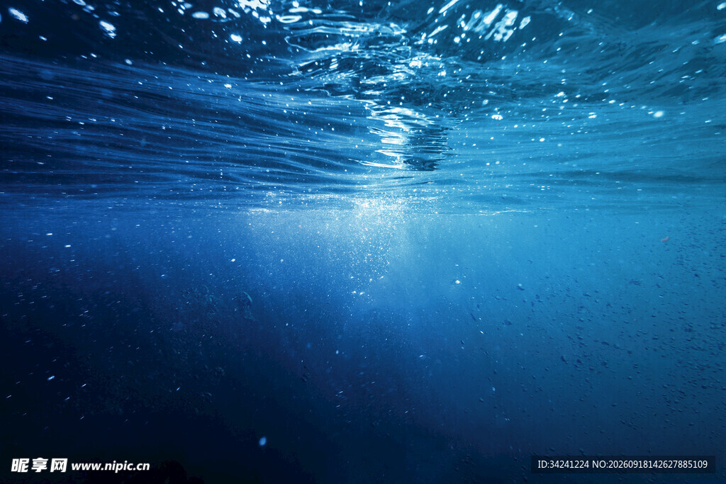 深海之下的幽蓝光影