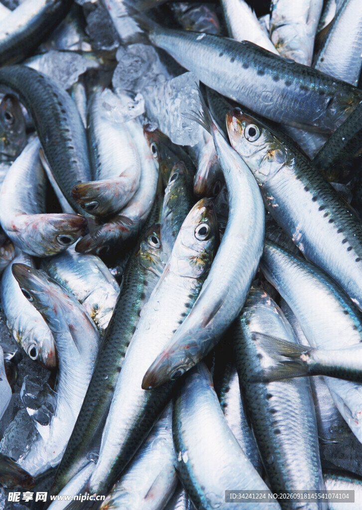 冰鲜海鱼堆叠