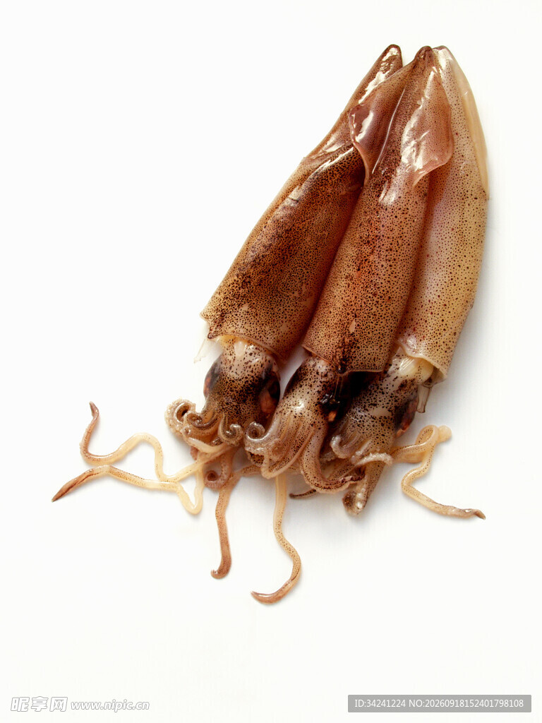两只干鱿鱼