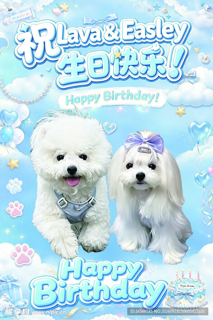 宠物生日海报