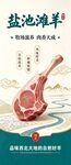 盐池滩羊宣传展架