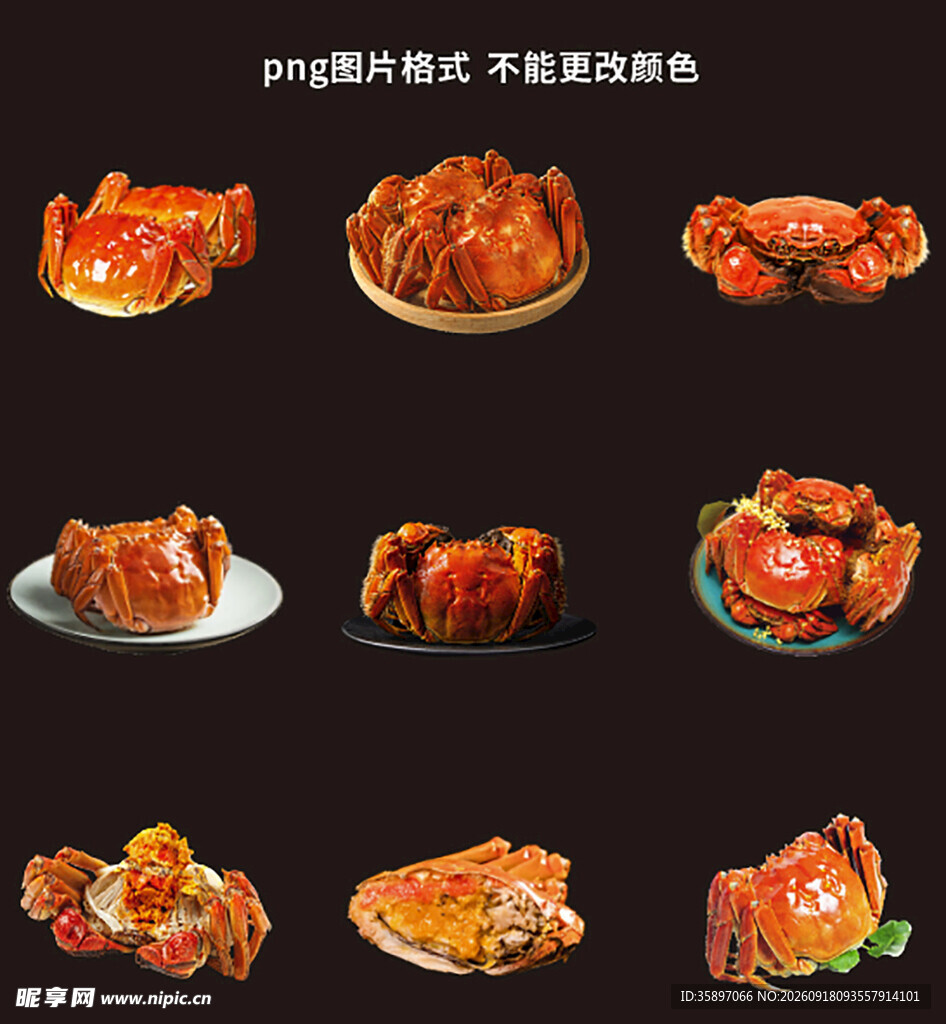 大闸蟹素材