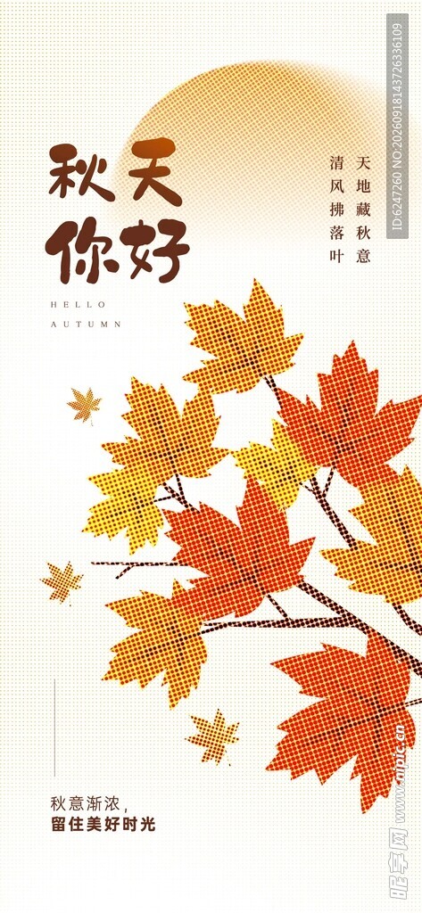 秋日枫叶