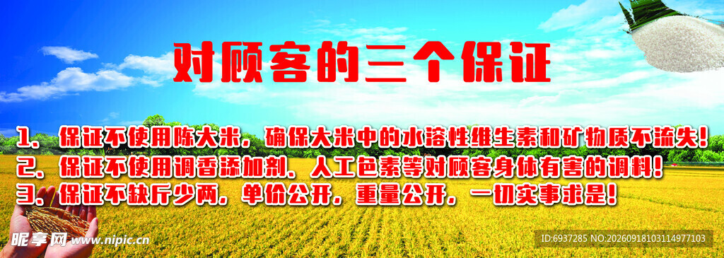 稻田 