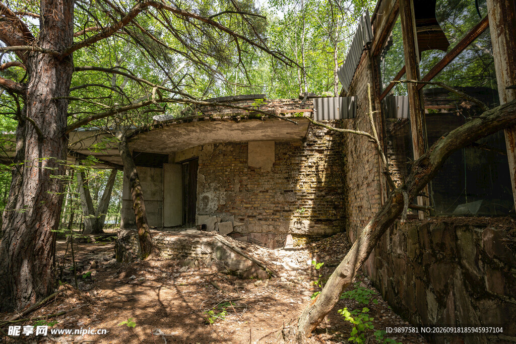 林间石砌小屋自然静谧处