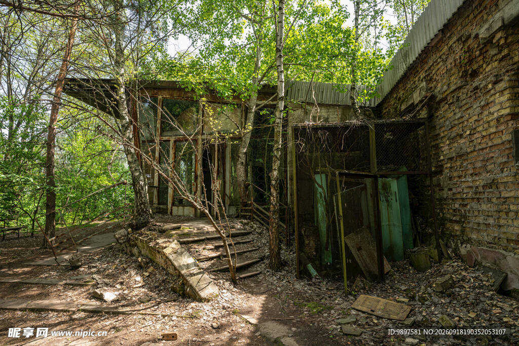 废弃林间小屋