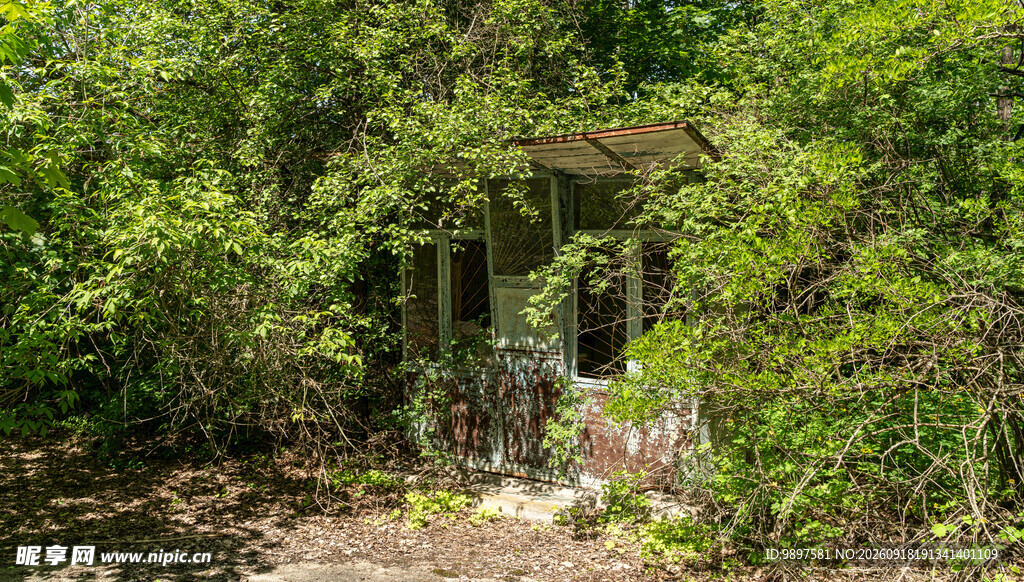被绿植环绕的废弃小屋