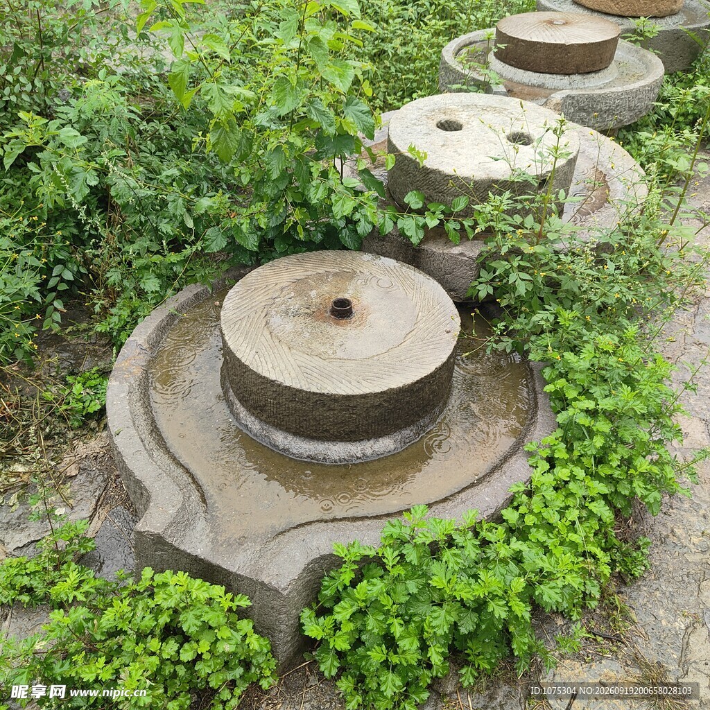 户外古朴石磨被绿植环绕