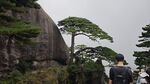 黄山美景