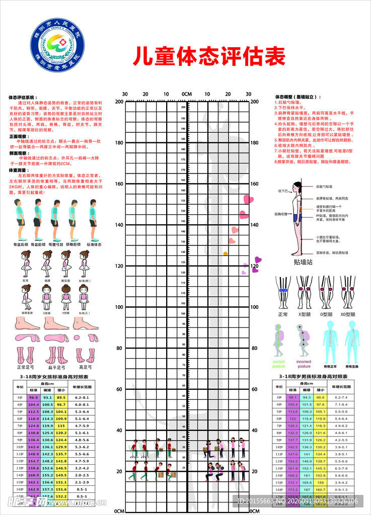 儿童体态评估表