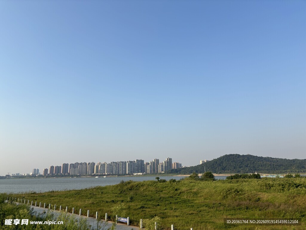 湖畔草地与远处城市风光