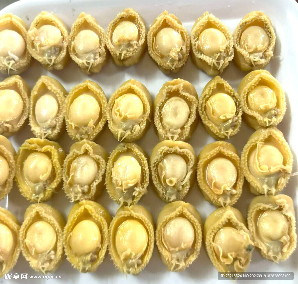 鲍鱼干