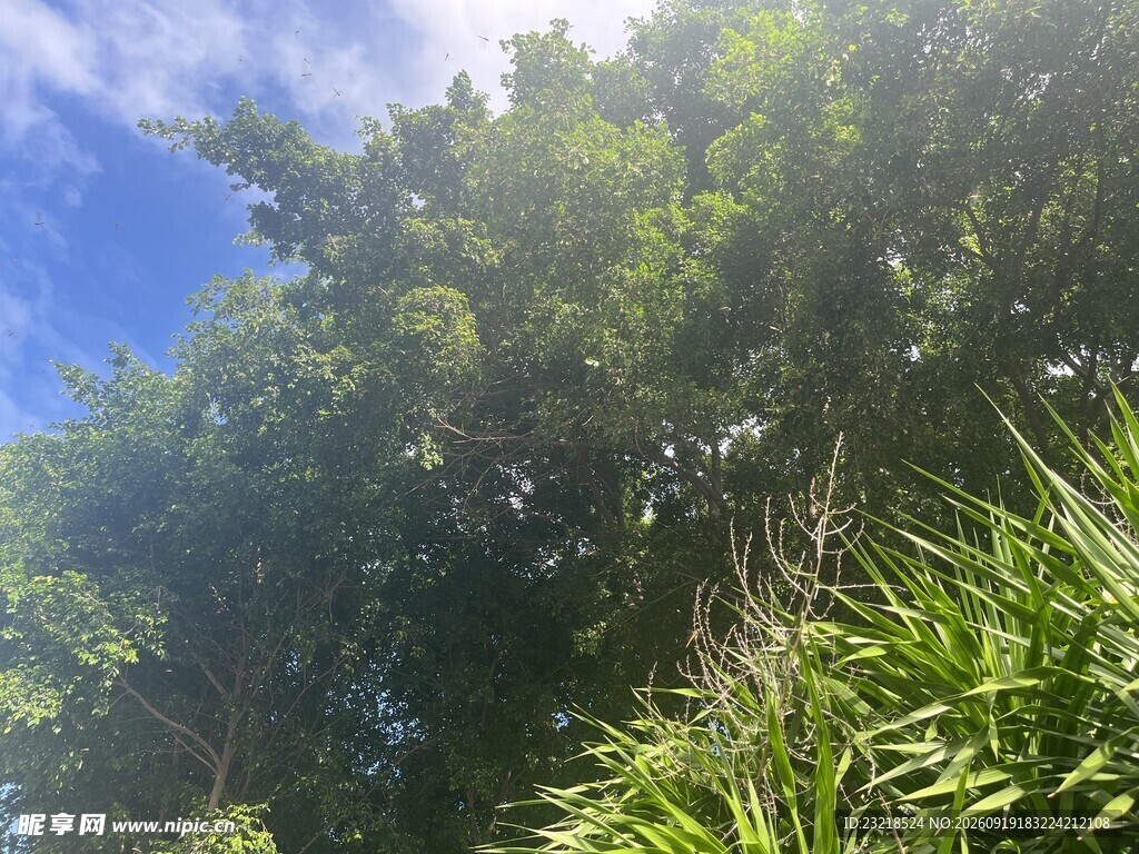 蓝天