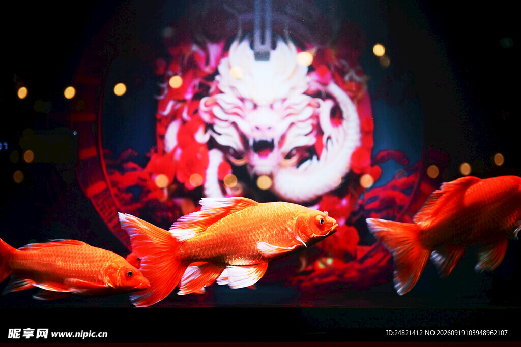 梦幻金鱼与神秘人物影像