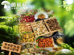 贵州酸汤火锅菜品图