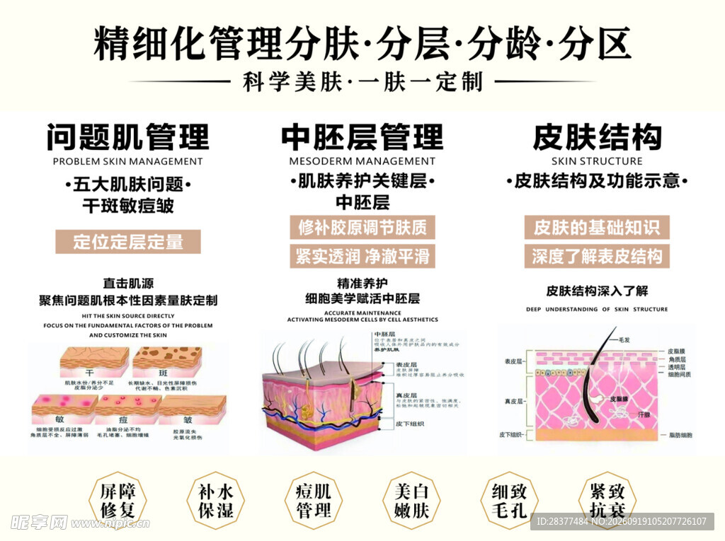 皮肤管理精细化