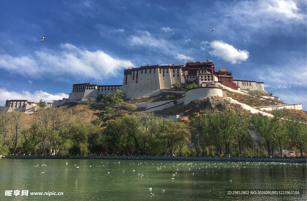 布达拉宫湖畔壮丽景观