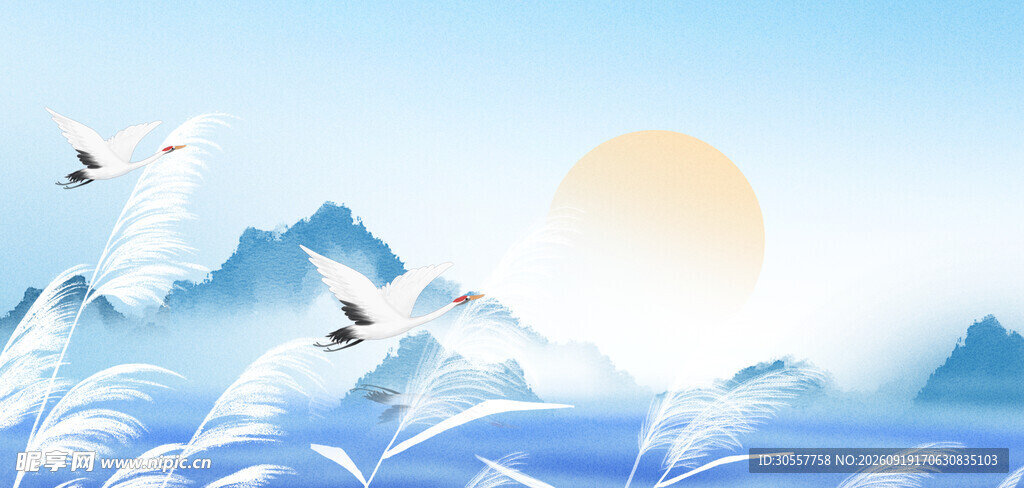 白露节气宣传蓝色芦苇山峰背景