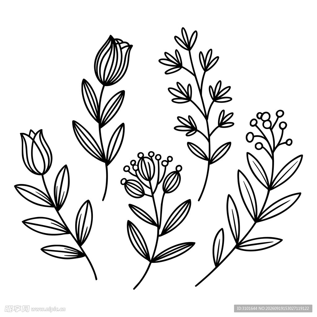 线描花卉植物