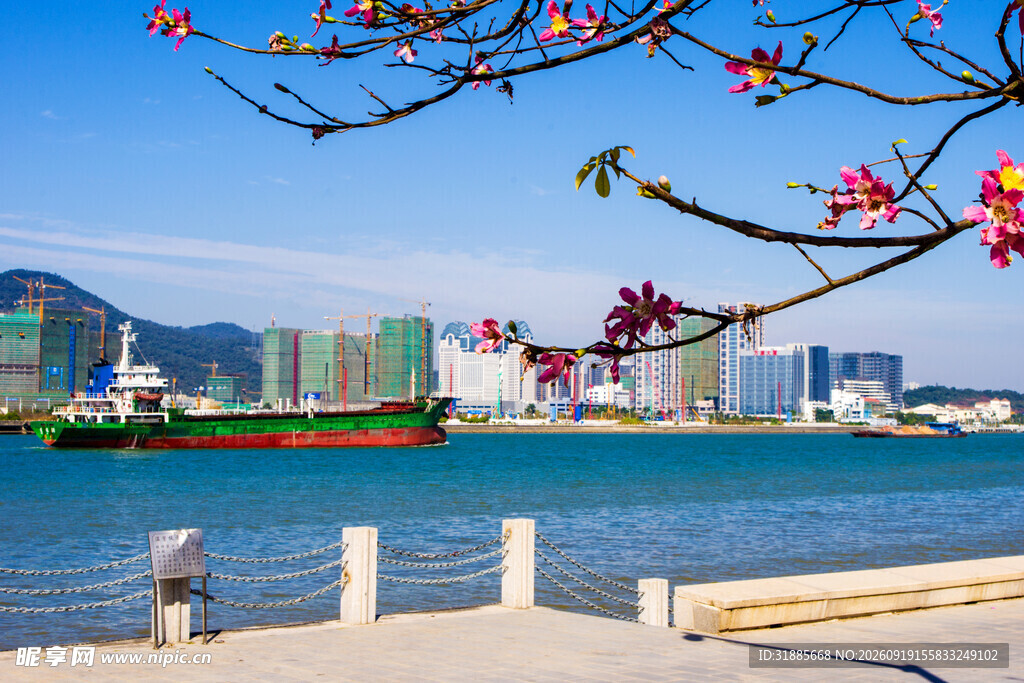 海滨城市春日美景