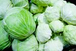 新鲜卷心菜堆叠
