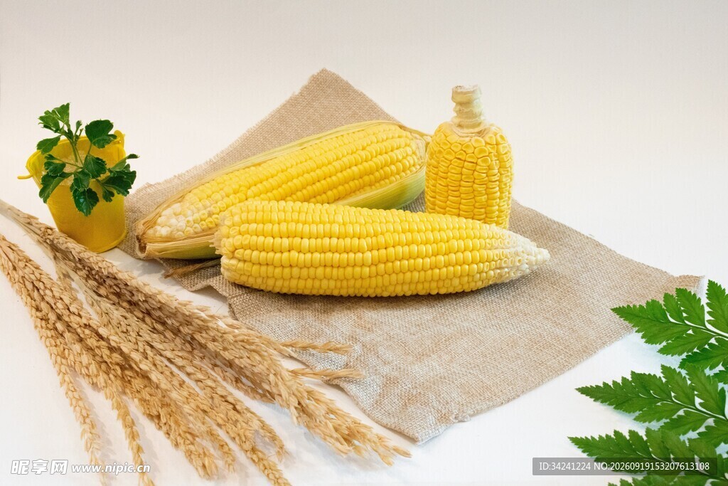 新鲜玉米与麦穗等农产品